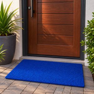 Blue spaghetti mat placed outside the front entrance of a South African home